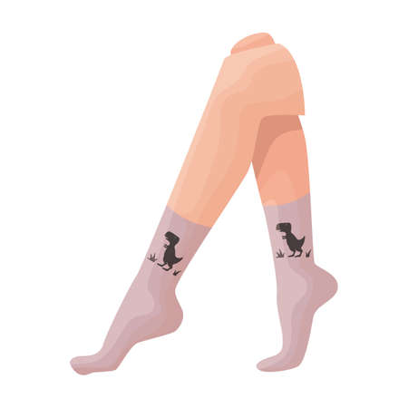 Woman sock vector icon.Cartoon vector icon isolated on white background woman sock.のイラスト素材