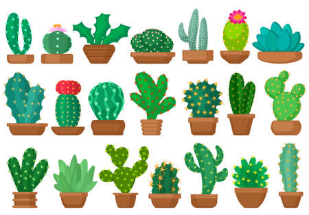 Houseplant cacti vector cartoon set icon. Vector illustration cactus on white background. Isolated cartoon set icon houseplant cacti.のイラスト素材