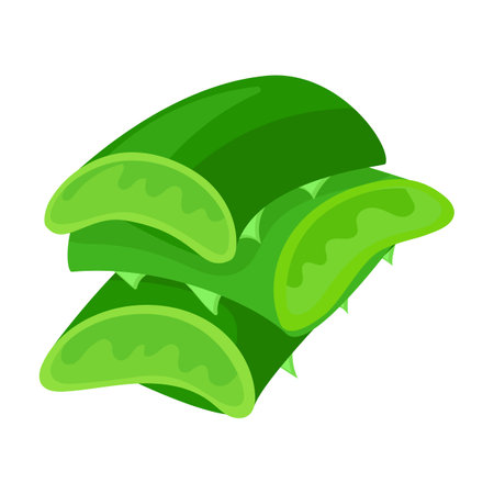 Aloe vera vector icon.Cartoon vector icon isolated on white background aloe vera.のイラスト素材