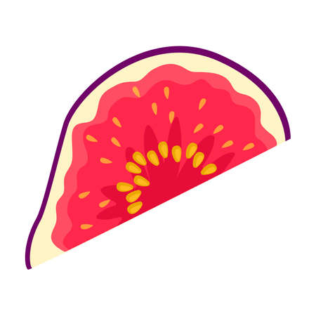 Fig vector icon.Cartoon vector icon isolated on white background fig.のイラスト素材