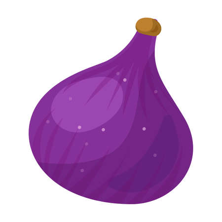 Fig vector icon.Cartoon vector icon isolated on white background fig.のイラスト素材