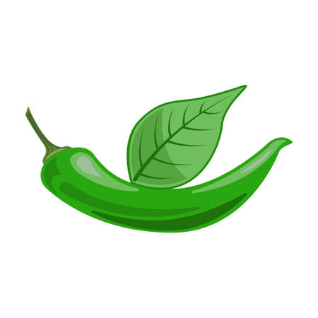 Spicy pepper vector icon.Cartoon vector icon isolated on white background spicy pepper.のイラスト素材