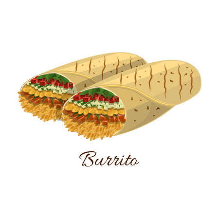 Burrito vector icon.Cartoon vector icon isolated on white background burrito.のイラスト素材