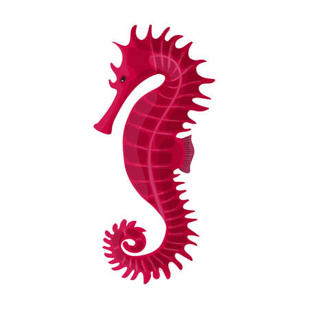 Sea horse vector icon.Cartoon vector icon isolated on white background sea horse.のイラスト素材