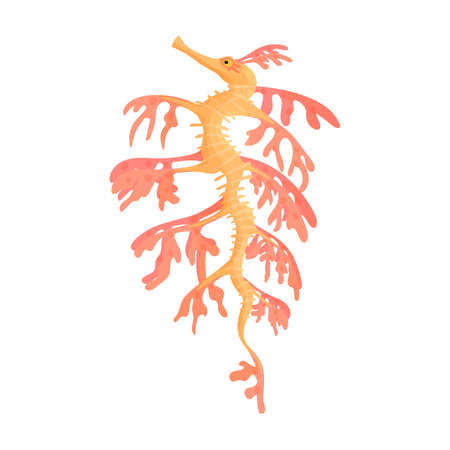 Sea horse vector icon.Cartoon vector icon isolated on white background sea horse.のイラスト素材