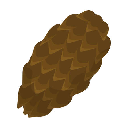 Cone pine isolated cartoon icon. Vector illustration spruce pinecone on white background. Vector cartoon illustration icon cone pine.のイラスト素材