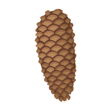 Cone pine isolated cartoon icon. Vector illustration spruce pinecone on white background. Vector cartoon illustration icon cone pine.のイラスト素材