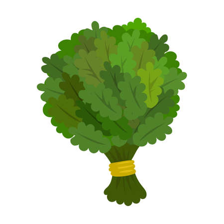 Sauna broom vector icon.Cartoon vector icon isolated on white background sauna broom.のイラスト素材