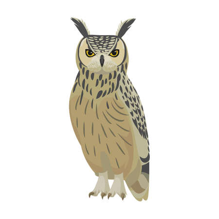 Owl bird cartoon vector illustration of icon. .Vector icon of animal owl. Isolated cartoon illustration of bird animal on white background.のイラスト素材