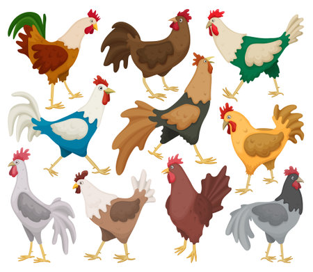 Cock of animal isolated cartoon set icon.Vector illustration set rooster cockerel.Vector cartoon icon cock of animal.のイラスト素材