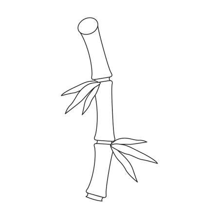 Bamboo vector outline icon. Vector illustration tree on white background. Isolated outline illustration icon of bamboo.のイラスト素材