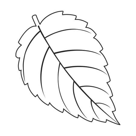Mint leaf vector outline icon. Vector illustration liaf peppermint on white background. Isolated outline illustration icon of mint.のイラスト素材