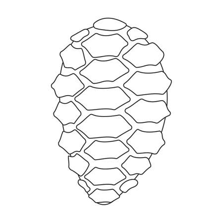 Pine cone vector outline icon. Vector illustration pinecone on white background. Isolated outline illustration icon of cone fir.のイラスト素材