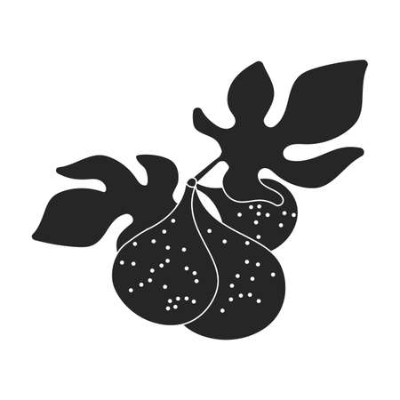 Fig vector icon.Black vector icon isolated on white background fig.のイラスト素材