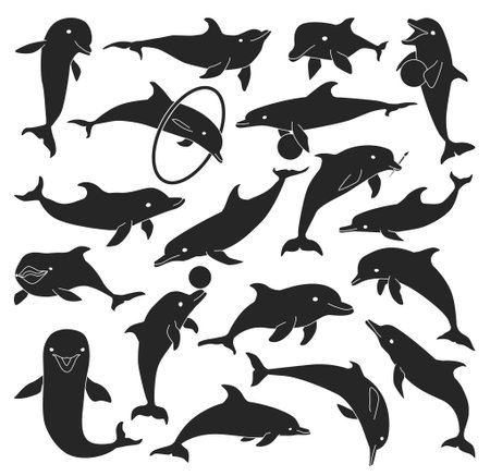 Dolphin vector black set icon. Vector illustration blue fish on white background. Isolated black set icon dolphin.のイラスト素材