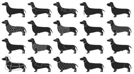 Dachshund isolated black set icon. Vector illustration dog on white background. Vector black set icon dachshund.のイラスト素材