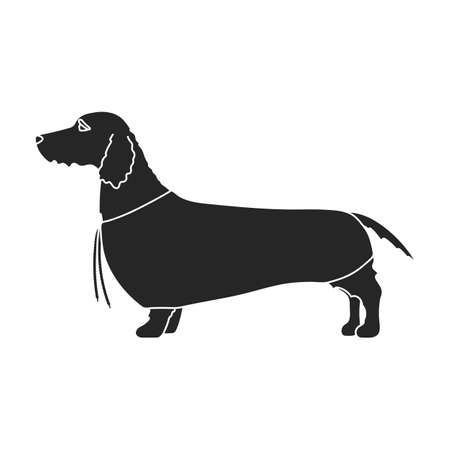 Dachshund vector icon.Black vector icon isolated on white background dachshund.のイラスト素材