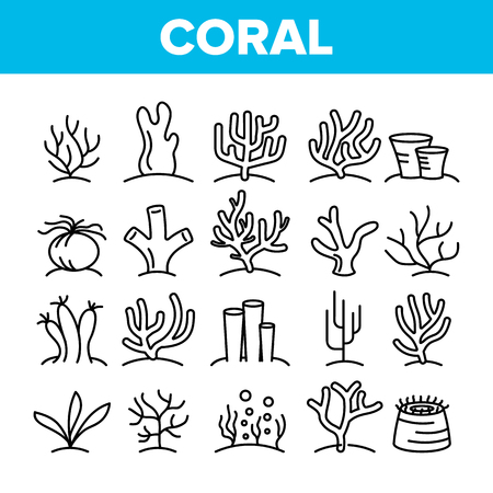 Corals Reefs And Seaweed Vector Linear Icons Set. Ocean Corals, Underwater Sea Life Outline Symbols Pack. Marine Flora And Fauna. Aquarium Natural Decoration Isolated Contour Illustrationsのイラスト素材