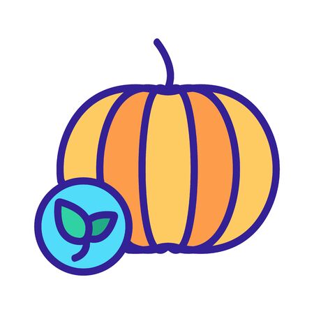 Natural pumpkin vector icon. Thin line sign. Isolated contour symbol illustrationのイラスト素材