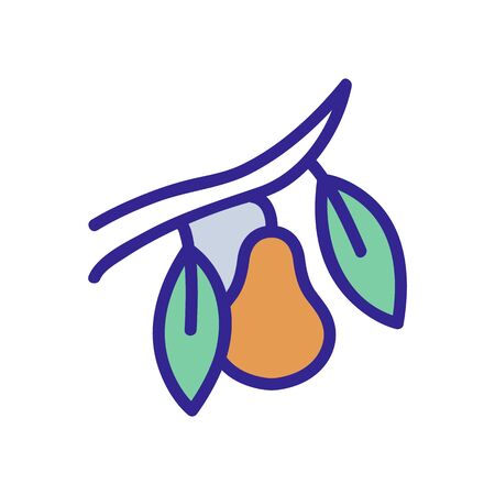 pear on branch icon vector. pear on branch sign. color isolated symbol illustrationのイラスト素材