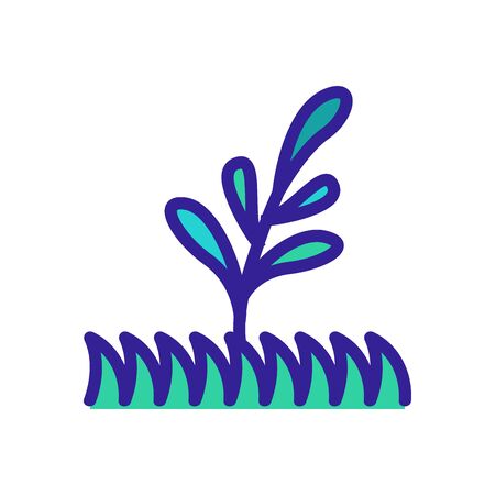 grass and bluegrass icon vector. grass and bluegrass sign. color symbol illustrationのイラスト素材