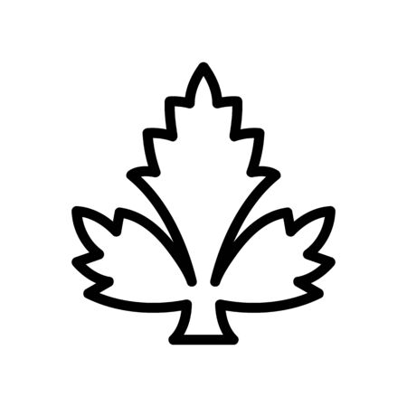 cilantro leaflet icon vector. cilantro leaflet sign. isolated contour symbol illustrationのイラスト素材