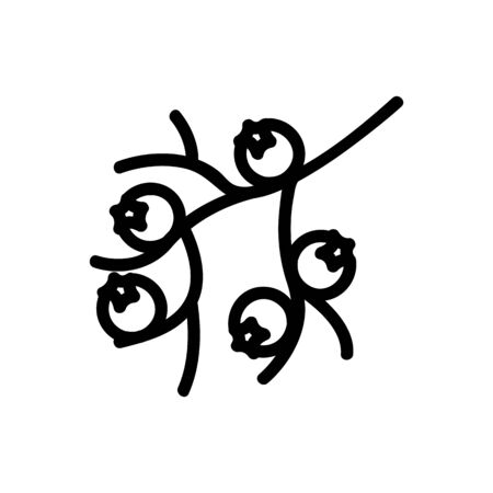 hawthorn branch icon vector. hawthorn branch sign. isolated contour symbol illustrationのイラスト素材