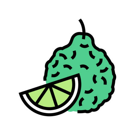 bergamot aromatherapy color icon vector. bergamot aromatherapy sign. isolated symbol illustrationのイラスト素材