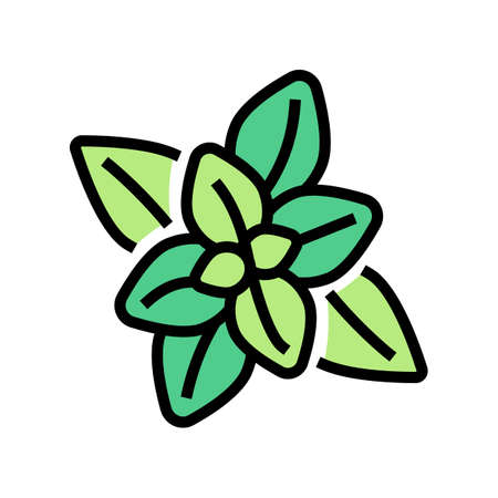 peppermint aromatherapy color icon vector. peppermint aromatherapy sign. isolated symbol illustrationのイラスト素材
