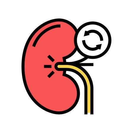 kidney transplant color icon vector. kidney transplant sign. isolated symbol illustrationのイラスト素材