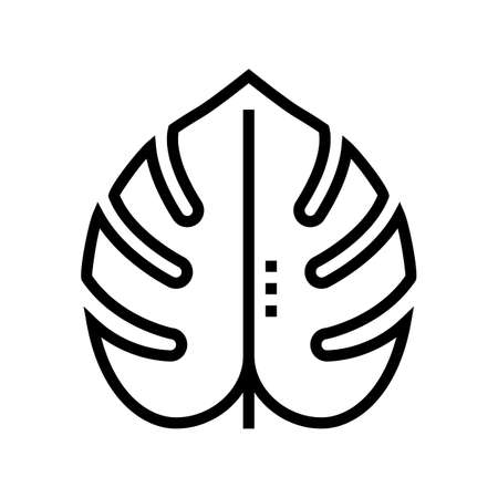 plant leaf line icon vector. plant leaf sign. isolated contour symbol black illustrationのイラスト素材