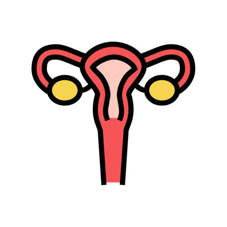 uterus woman organ color icon vector. uterus woman organ sign. isolated symbol illustrationのイラスト素材