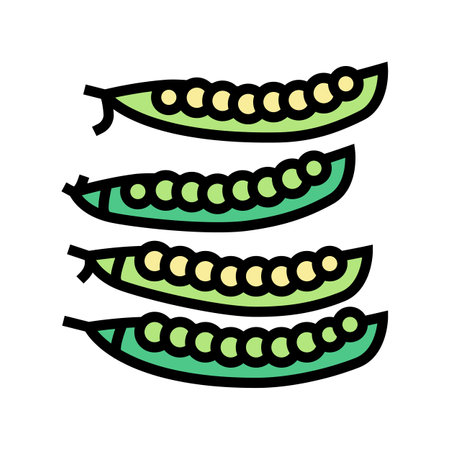 ripe fresh peas color icon vector. ripe fresh peas sign. isolated symbol illustrationのイラスト素材