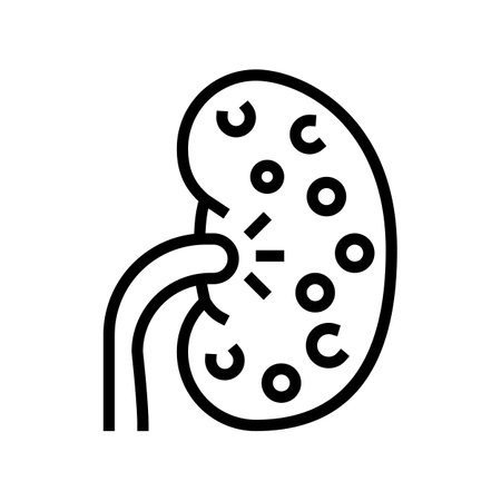 nephritis kidney line icon vector. nephritis kidney sign. isolated contour symbol black illustrationのイラスト素材