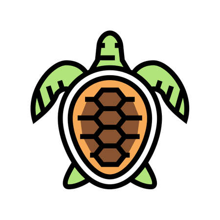 turtle ocean color icon vector. turtle ocean sign. isolated symbol illustrationのイラスト素材