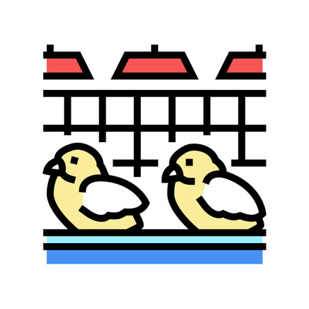 chick in poultry farm color icon vector. chick in poultry farm sign. isolated symbol illustrationのイラスト素材