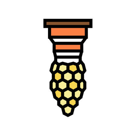 bee queen production beekeeping color icon vector. bee queen production beekeeping sign. isolated symbol illustrationのイラスト素材