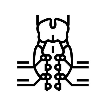 parathyroid gland endocrinology line icon vector. parathyroid gland endocrinology sign. isolated contour symbol black illustrationのイラスト素材