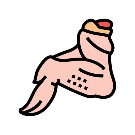wing 3 joint chicken color icon vector. wing 3 joint chicken sign. isolated symbol illustrationのイラスト素材