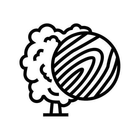 linden wood line icon vector. linden wood sign. isolated contour symbol black illustrationのイラスト素材