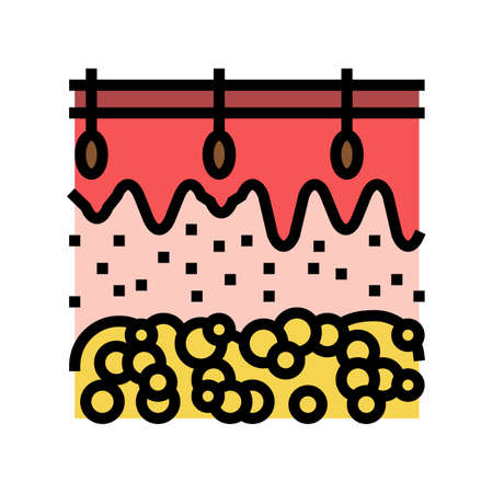 skin human organ color icon vector. skin human organ sign. isolated symbol illustrationのイラスト素材