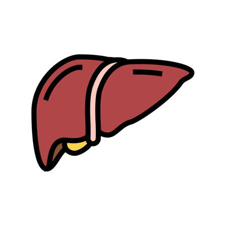 liver human organ color icon vector. liver human organ sign. isolated symbol illustrationのイラスト素材