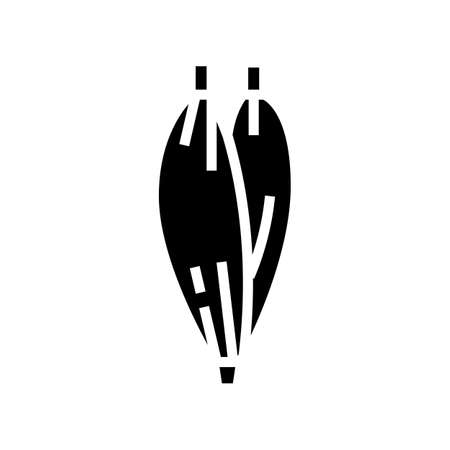 muscle human anatomy glyph icon vector. muscle human anatomy sign. isolated contour symbol black illustrationのイラスト素材
