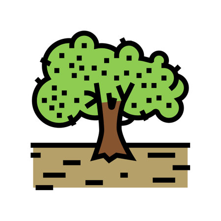 cultivation olive tree color icon vector. cultivation olive tree sign. isolated symbol illustrationのイラスト素材