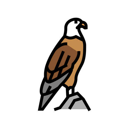 eagle bird in zoo color icon vector. eagle bird in zoo sign. isolated symbol illustrationのイラスト素材