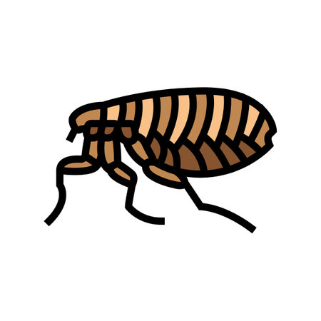 flea insect color icon vector. flea insect sign. isolated symbol illustrationのイラスト素材