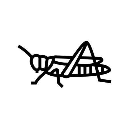 grasshopper insect line icon vector. grasshopper insect sign. isolated contour symbol black illustrationのイラスト素材