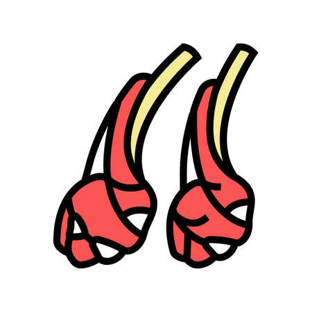 mutton meat color icon vector. mutton meat sign. isolated symbol illustrationのイラスト素材