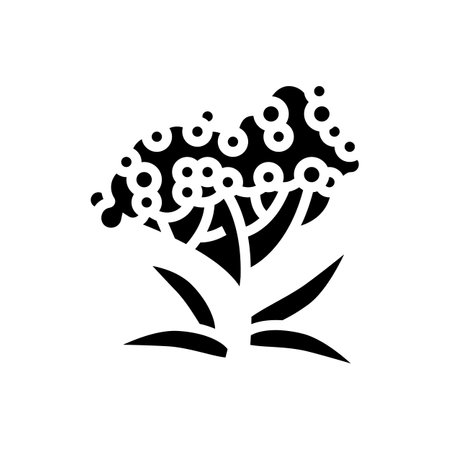 elderberry tree branch glyph icon vector. elderberry tree branch sign. isolated contour symbol black illustrationのイラスト素材