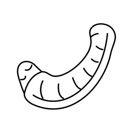 neck chicken line icon vector illustrationのイラスト素材